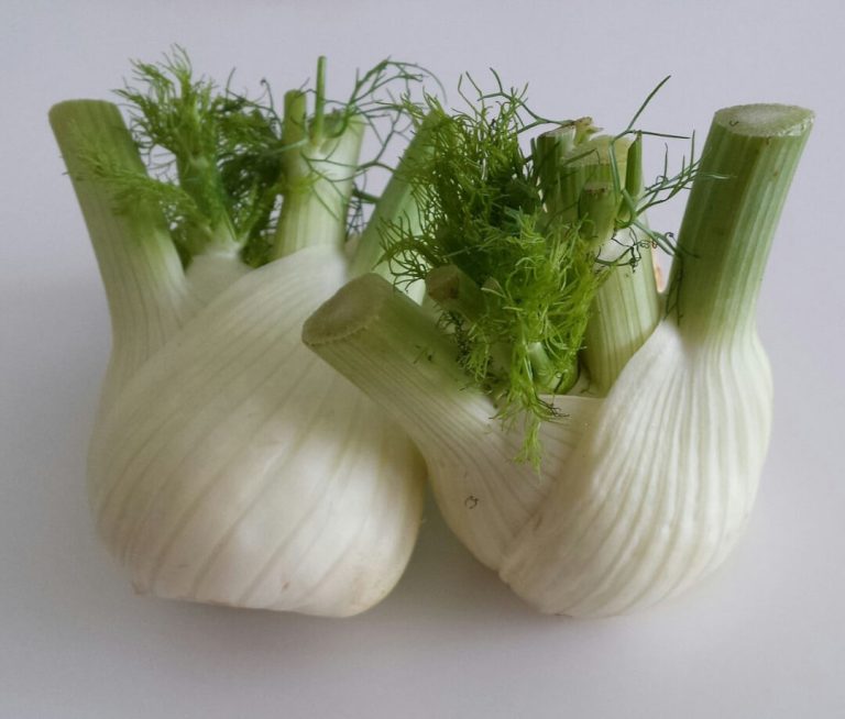 Fennel: A Cosmetic Delight with 10 benefits