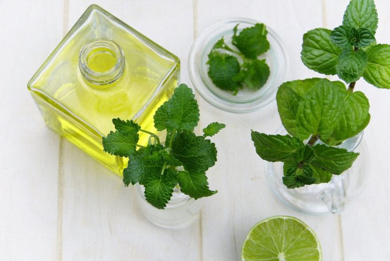 PEPPERMINT HERB FOR HAIR: 4 BENEFITS