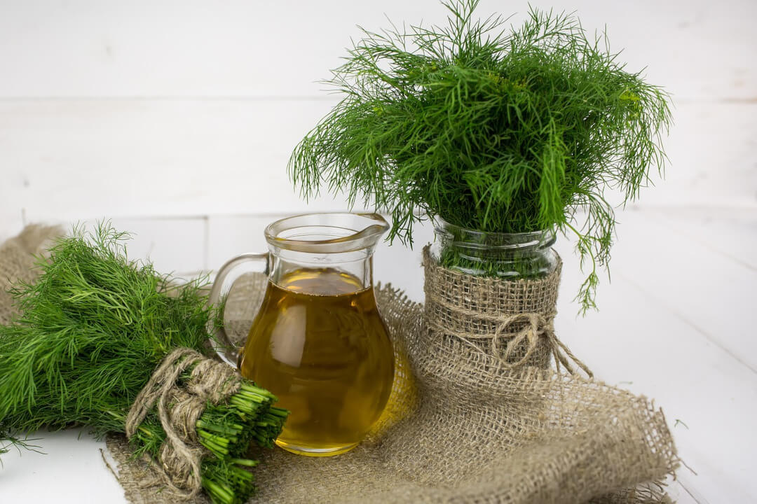Dill herbal beauty benefits