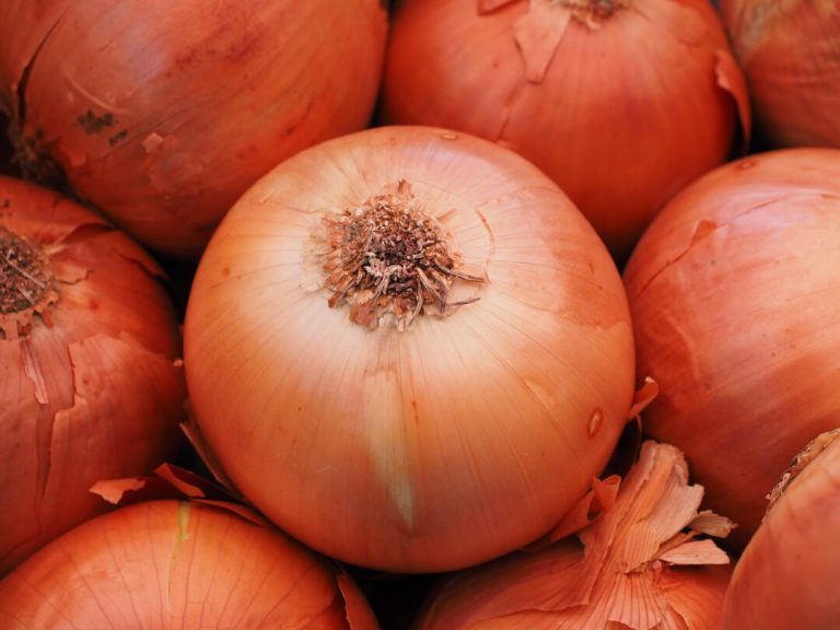 Onion: with 5 Hidden Benefits for Radiant Hair